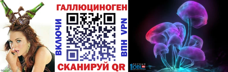 где можно купить наркотик  Муром  Псилоцибиновые грибы Psilocybe 