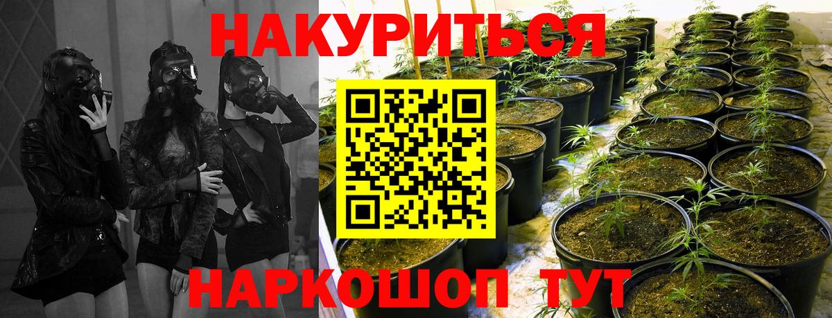 Шишки марихуана OG Kush Муром